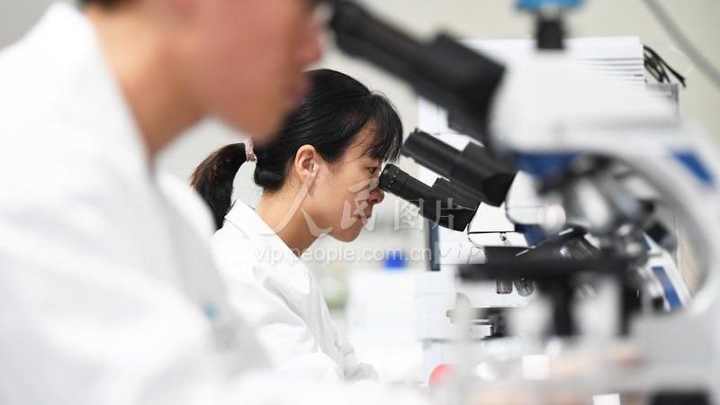 CDMO定制研发：揭秘药物研发的“幕后英雄