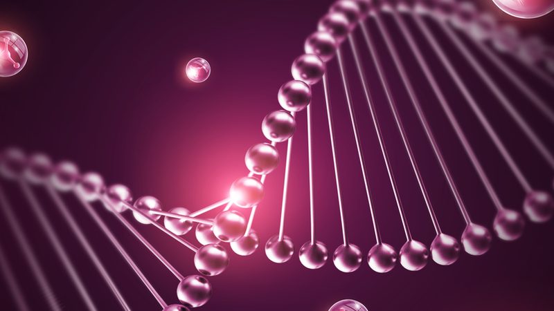 上海生物科技公司质量体系标准：构建生物医药的坚实基石