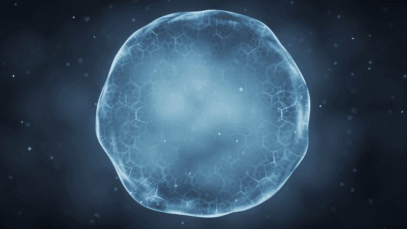 生物制品定制加工，广州供应商如何选择？**