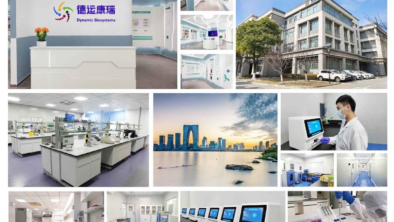 CHO培养基：了解其报价背后的关键因素**