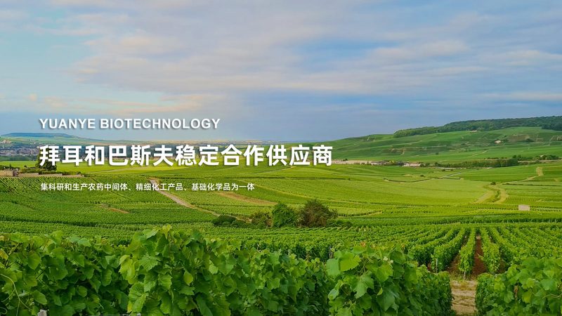 国内抗体生物制品研发企业排名背后的考量因素