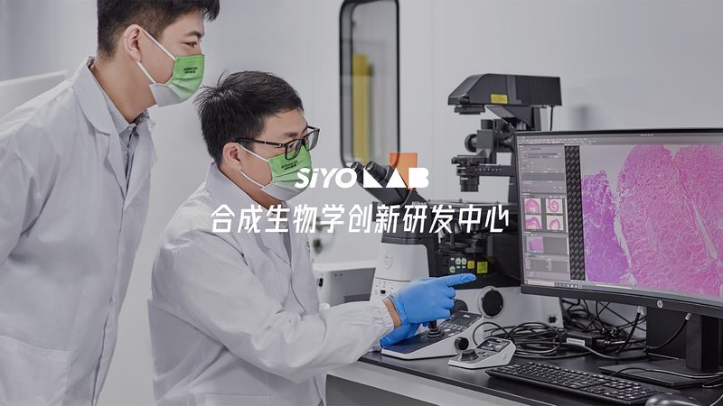 成都培养基供应商排名：揭秘优质供应商的评判标准**