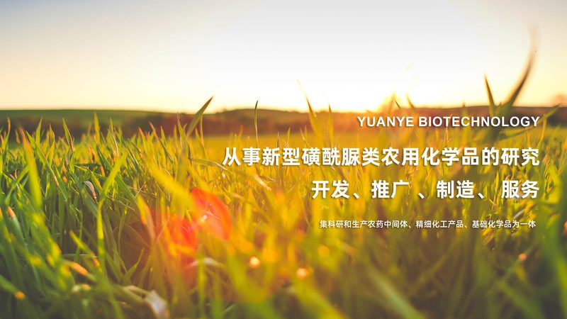 重组蛋白细胞因子：揭秘生物制品制造的关键环节**