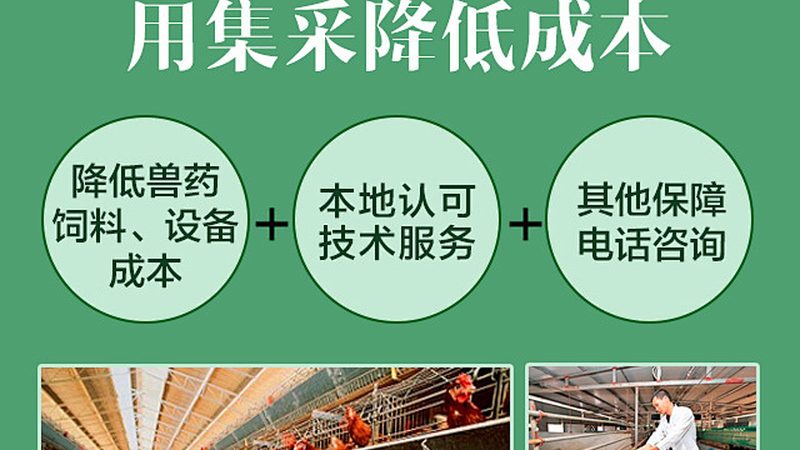 离心管定制：价格背后的考量因素**