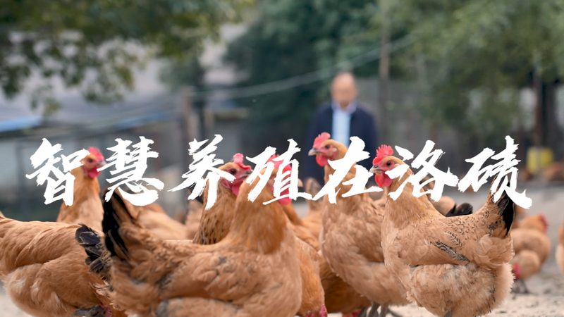 北京生物制品批发价格：影响因素与市场解读