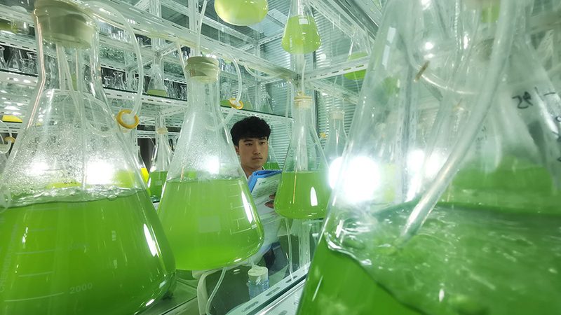 干细胞培养技术服务：定制价格背后的考量因素**